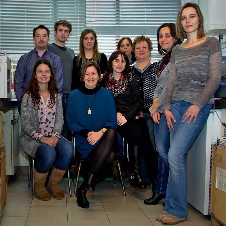 Grupo de investigación Grupo de investigación